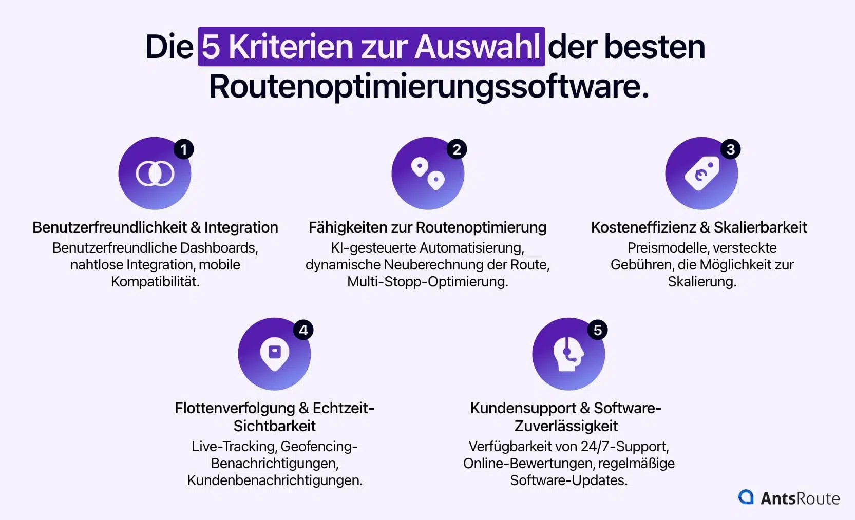 Schema mit den 5 Kriterien für die Auswahl der besten Routenoptimierungssoftware.
