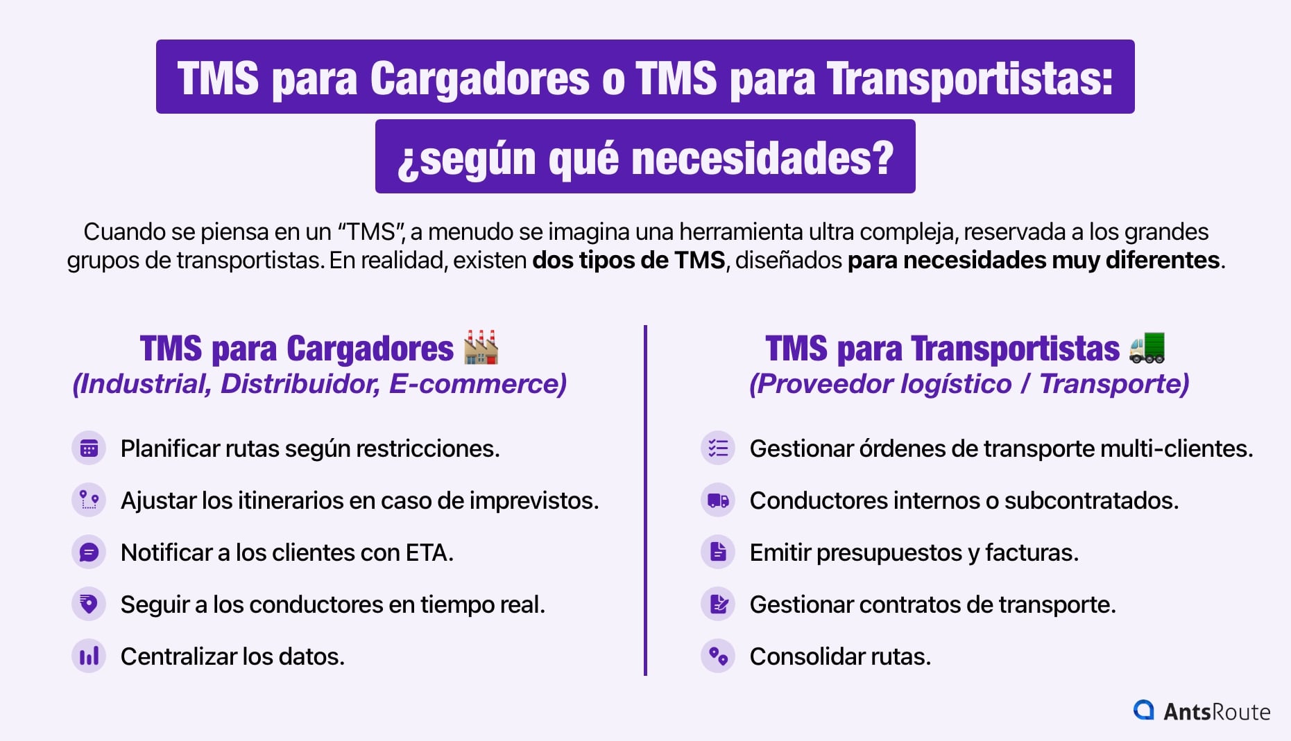 Esquema que muestra las necesidades que cubren los TMS para Cargadores y los TMS para Transportistas.