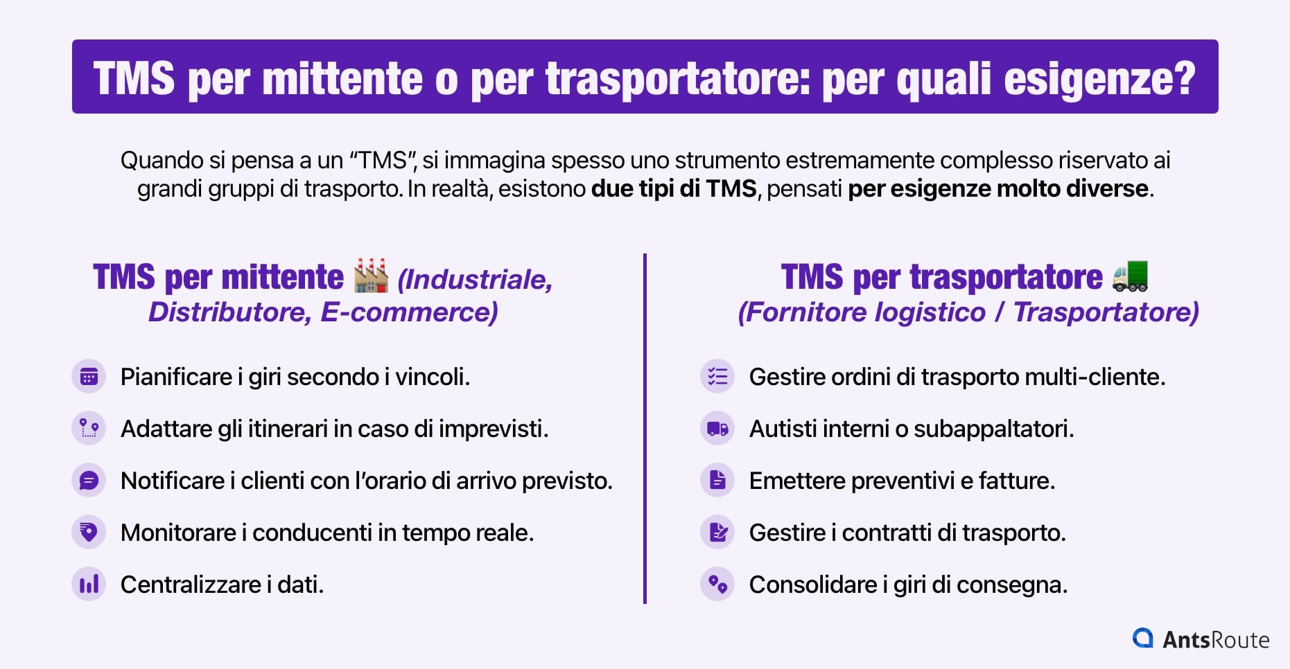 Diagramma che presenta le esigenze a cui rispondono i TMS per mittente e i TMS per trasportatore.