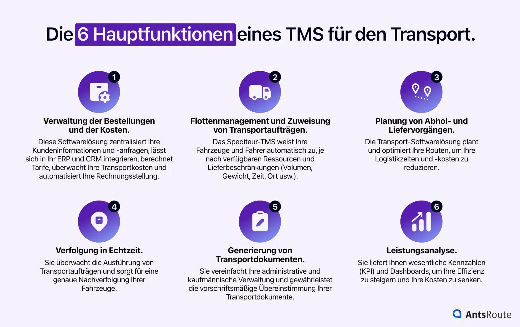 Schema mit den 6 Hauptfunktionen eines TMS für den Transport.
