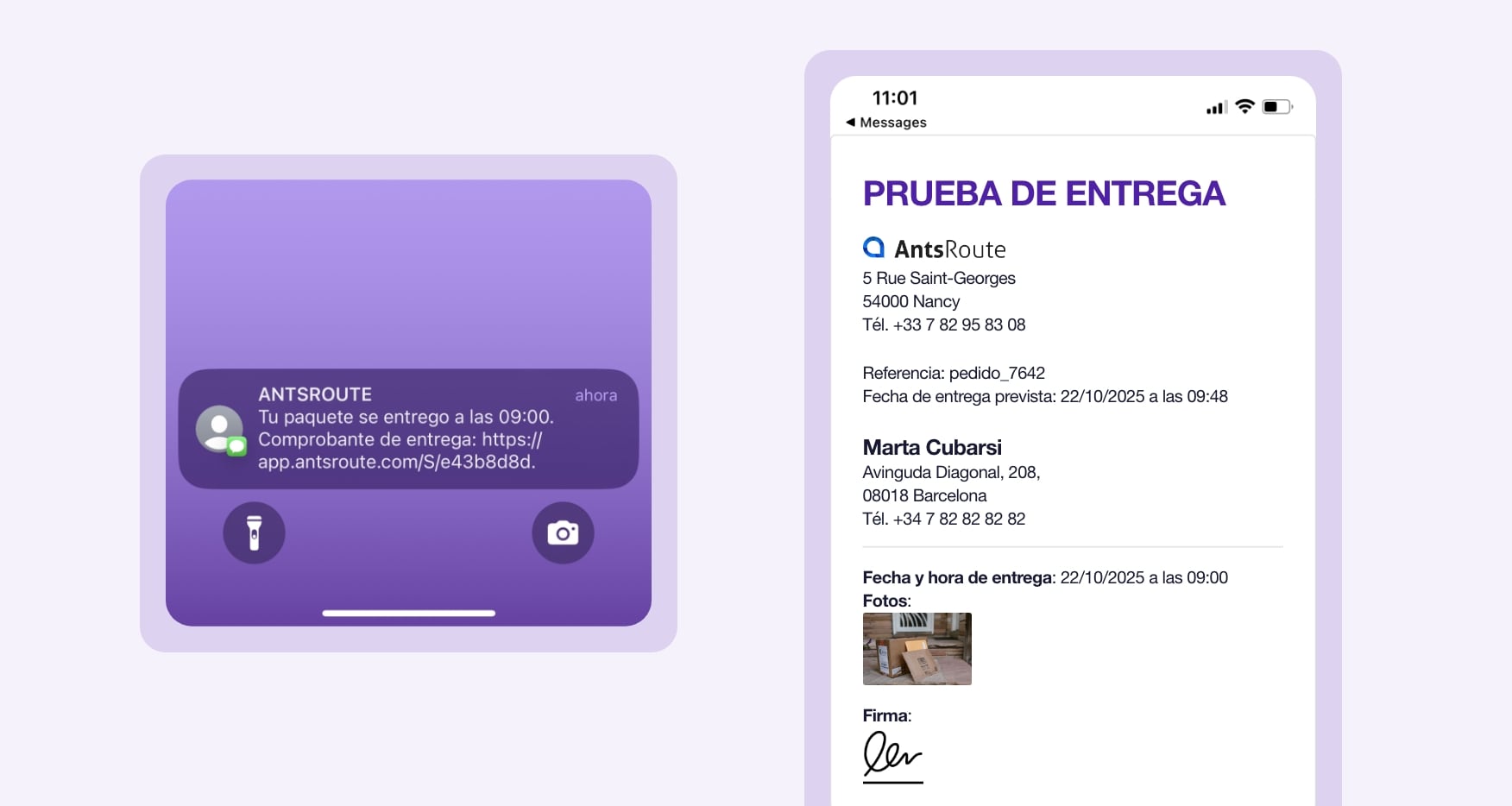 Modelo de notificación de entrega con un enlace para descargar las pruebas de paso, enviada a través de AntsRoute.