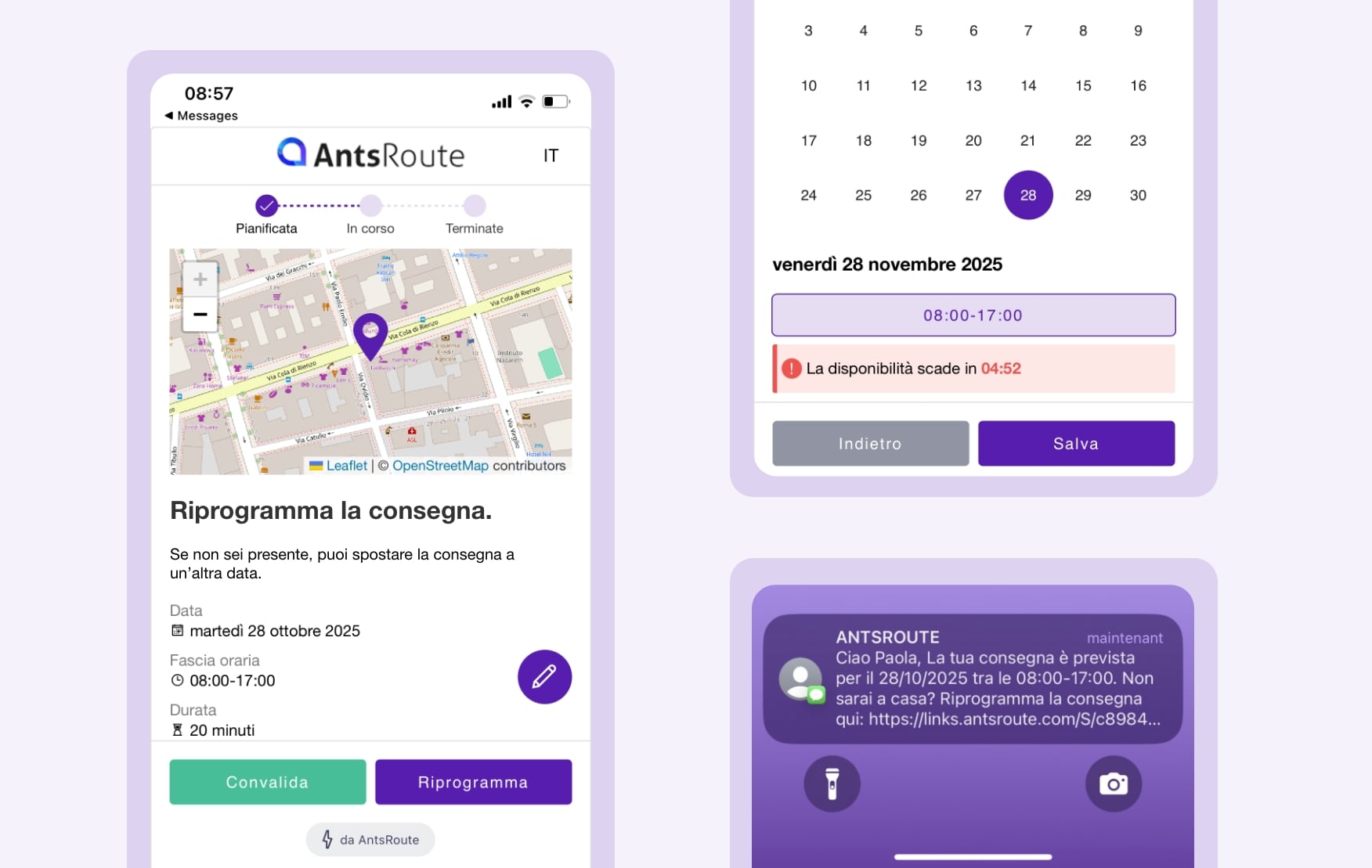 Modello di notifica di consegna inviato tramite AntsRoute con un link che permette al cliente di confermare o riprogrammare la consegna.