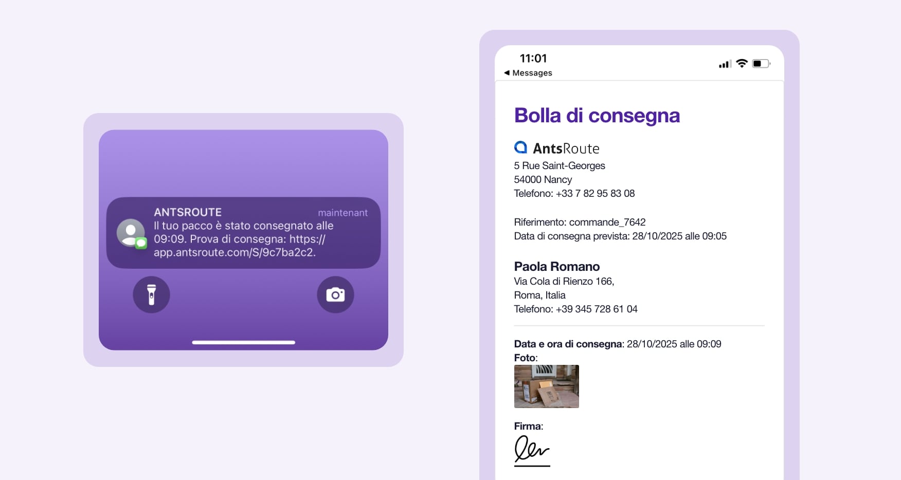 Modello di notifica di consegna con un link per scaricare le prove di passaggio, inviato tramite AntsRoute.